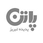 پاتن
